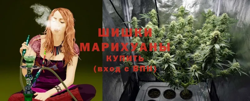 Конопля SATIVA & INDICA  Багратионовск 